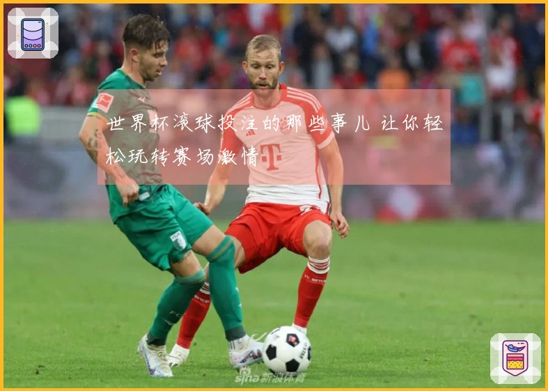 世界杯滚球投注的那些事儿 让你轻松玩转赛场激情