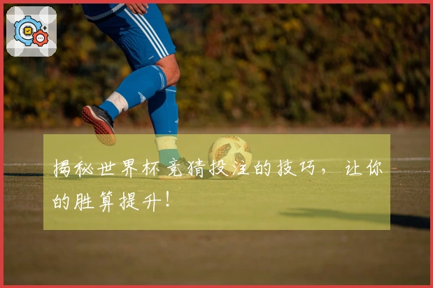 揭秘世界杯竞猜投注的技巧，让你的胜算提升！
