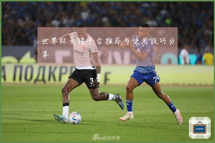 世界杯竞猜平台推荐与使用技巧分享